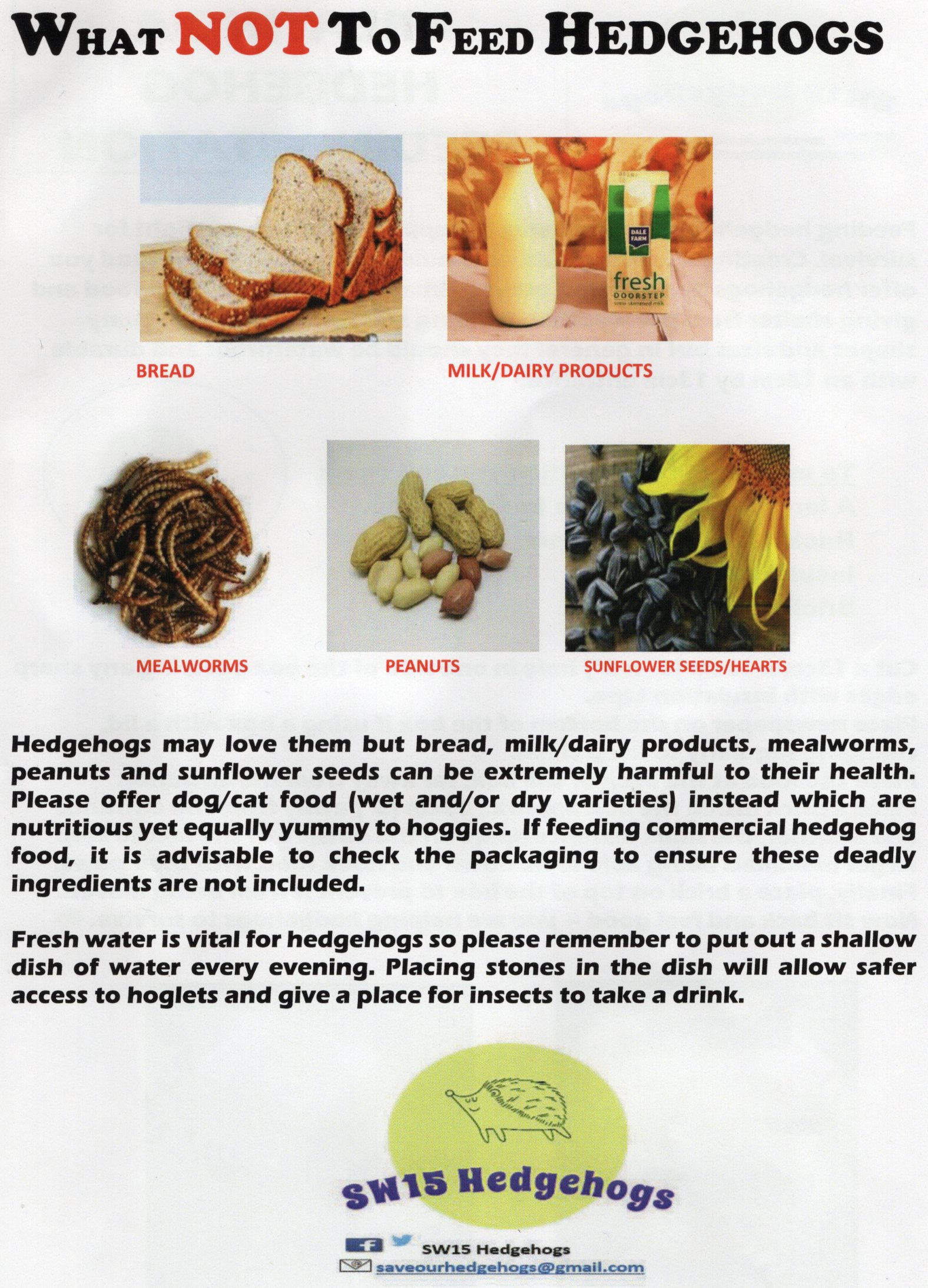 What not to feed your hedgehog Roehampton Garden Society