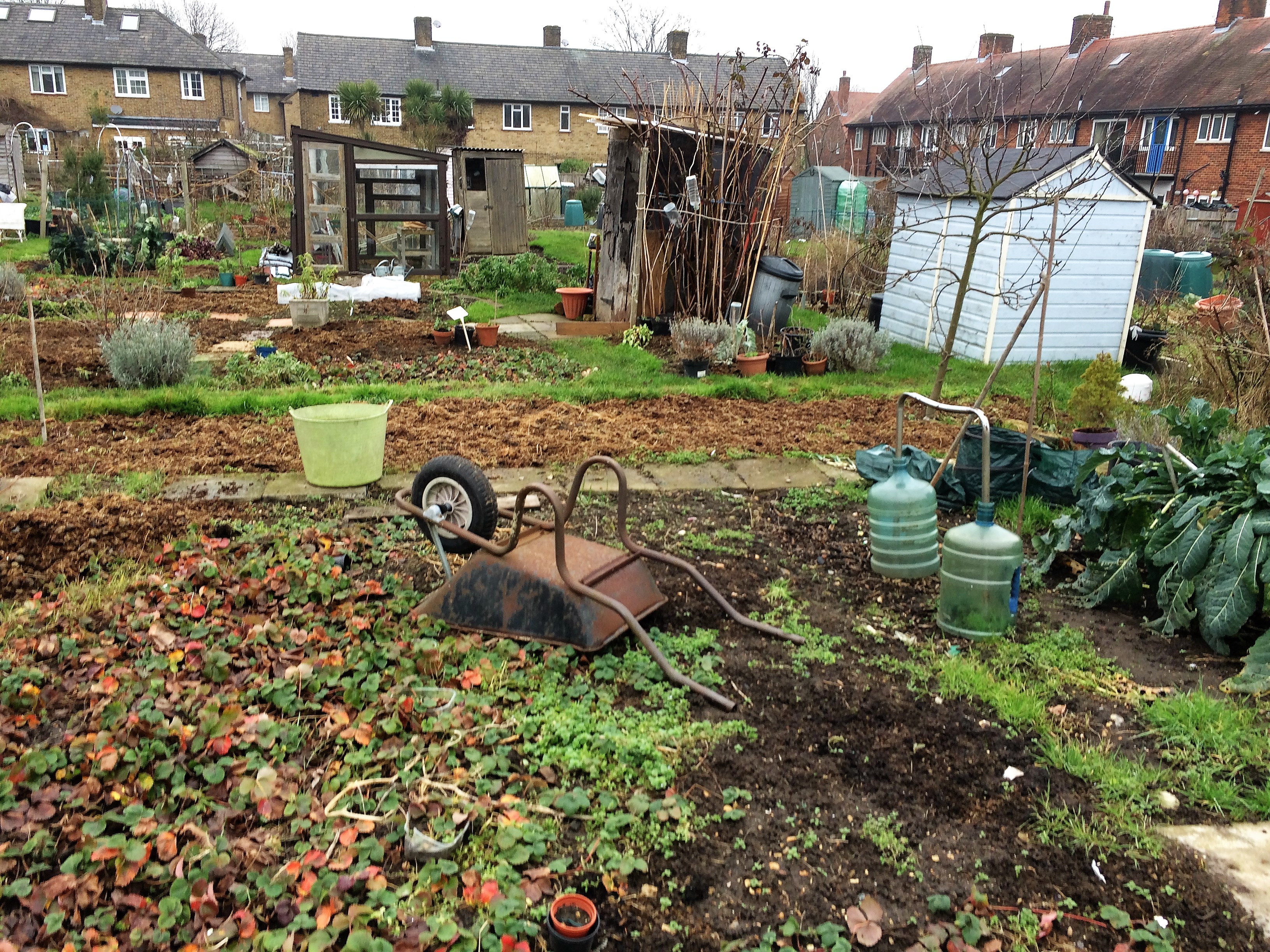 Allotment Wheelbarrow