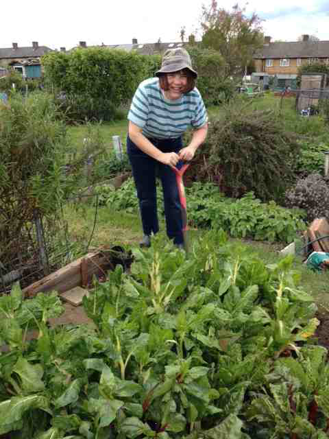 Working the Allotment